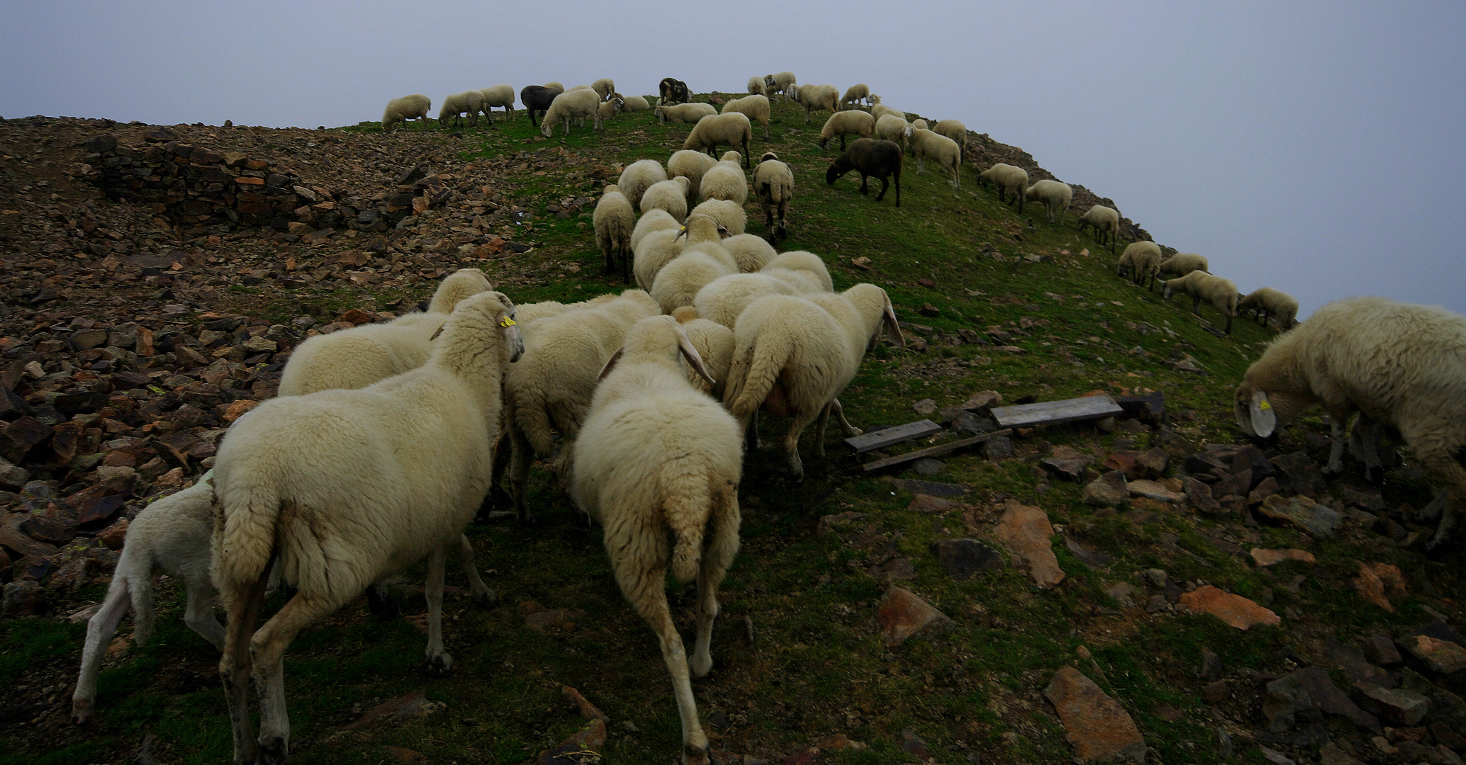 Dolomiten 2010 - Auf der Flucht