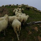 Dolomiten 2010 - Auf der Flucht