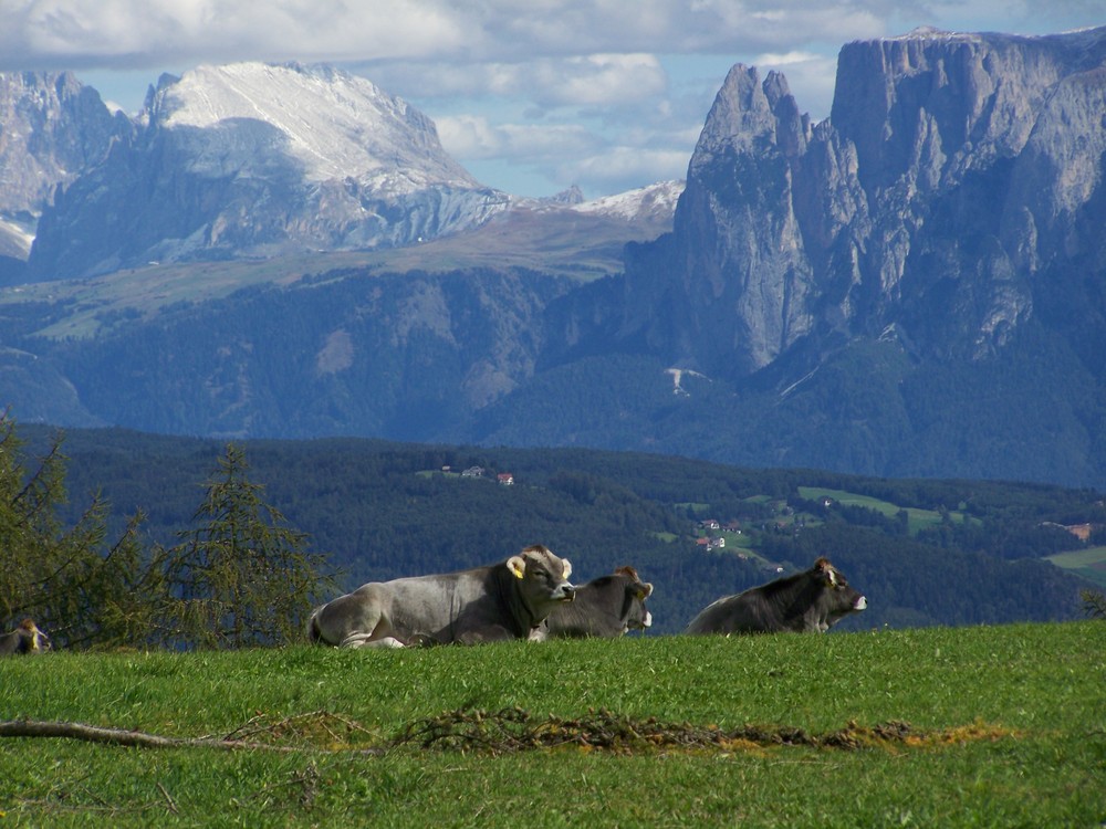 Dolomiten