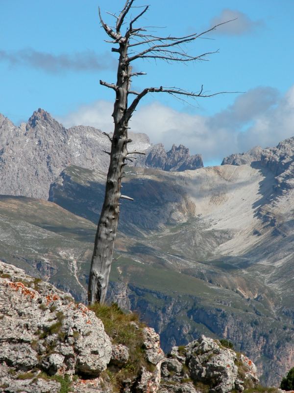 Dolomiten