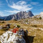 Dolomiten