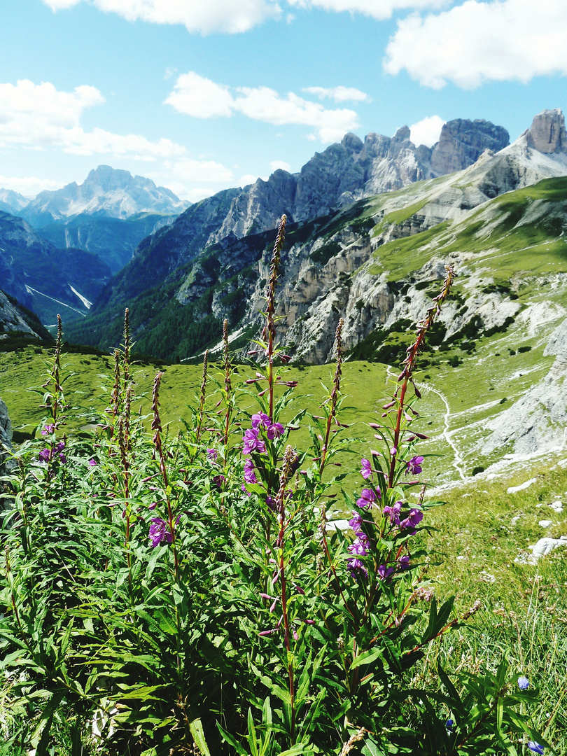 Dolomiten