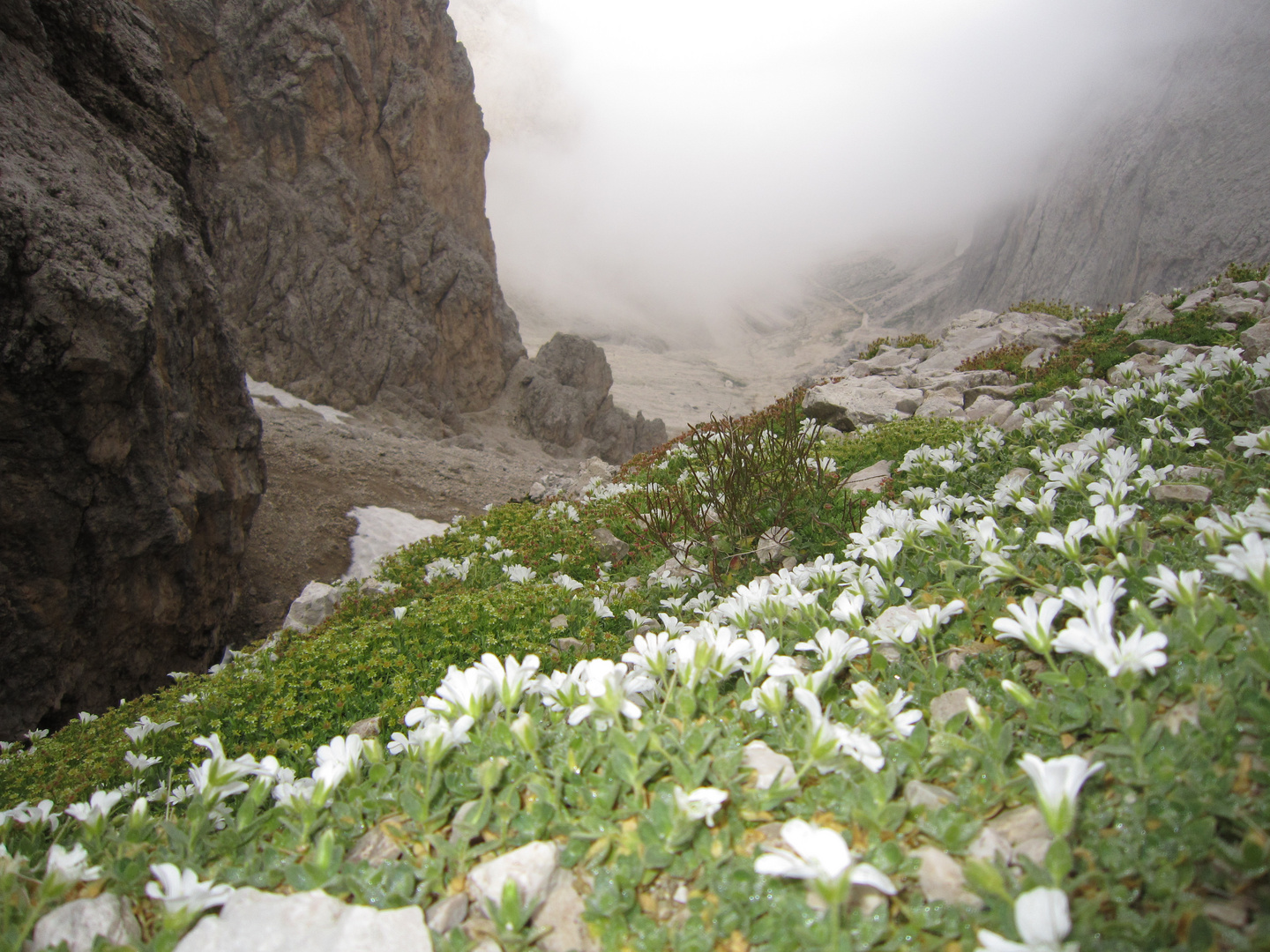 Dolomiten, Berge, Gebirge, Nebel