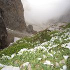 Dolomiten, Berge, Gebirge, Nebel