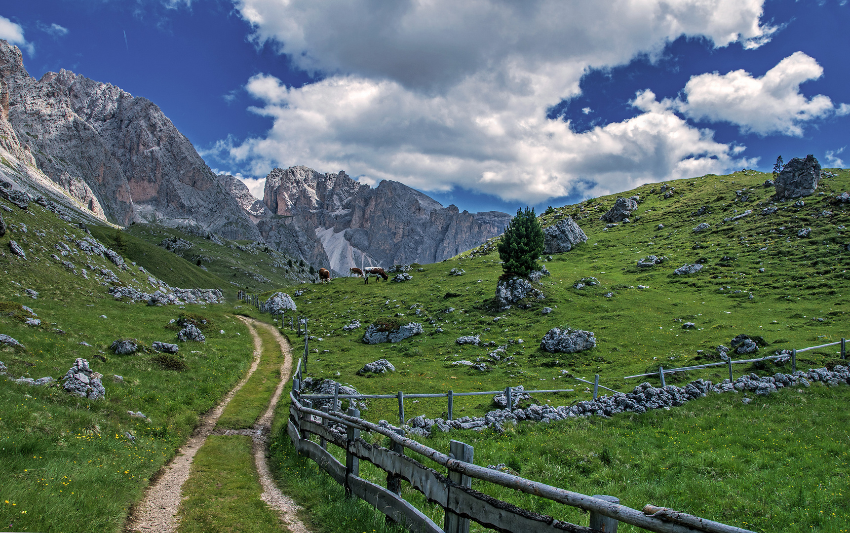 Dolomiten-Bergwelt