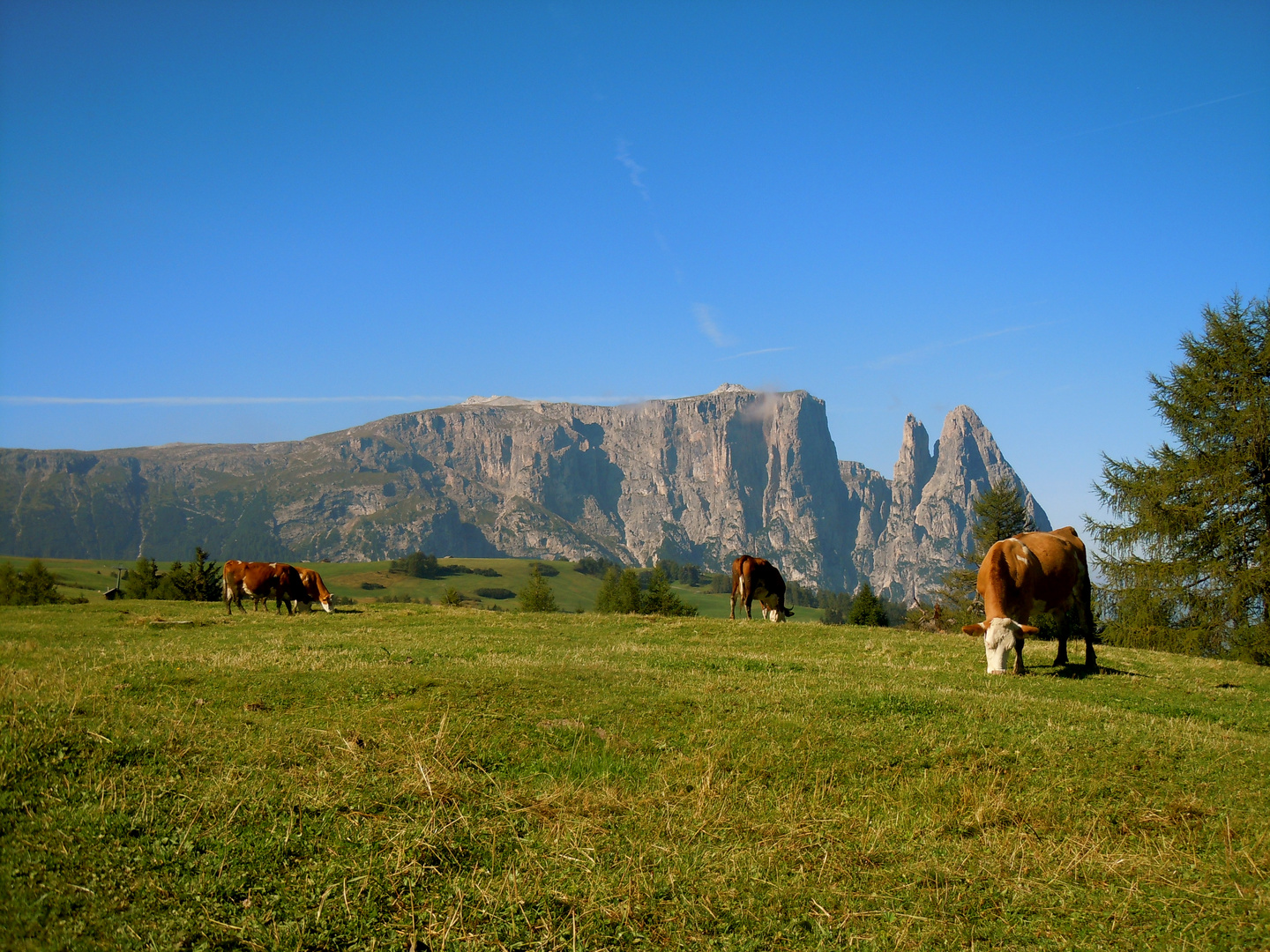 Dolomiten