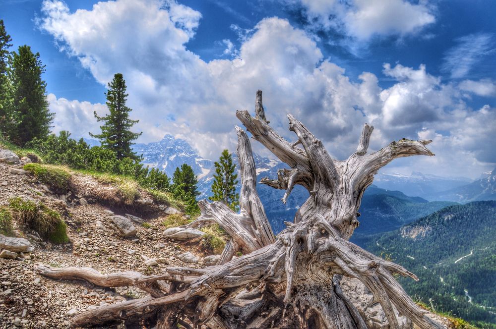 Dolomiten