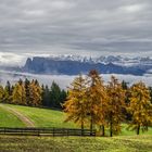 Dolomiten im Herbstkleid