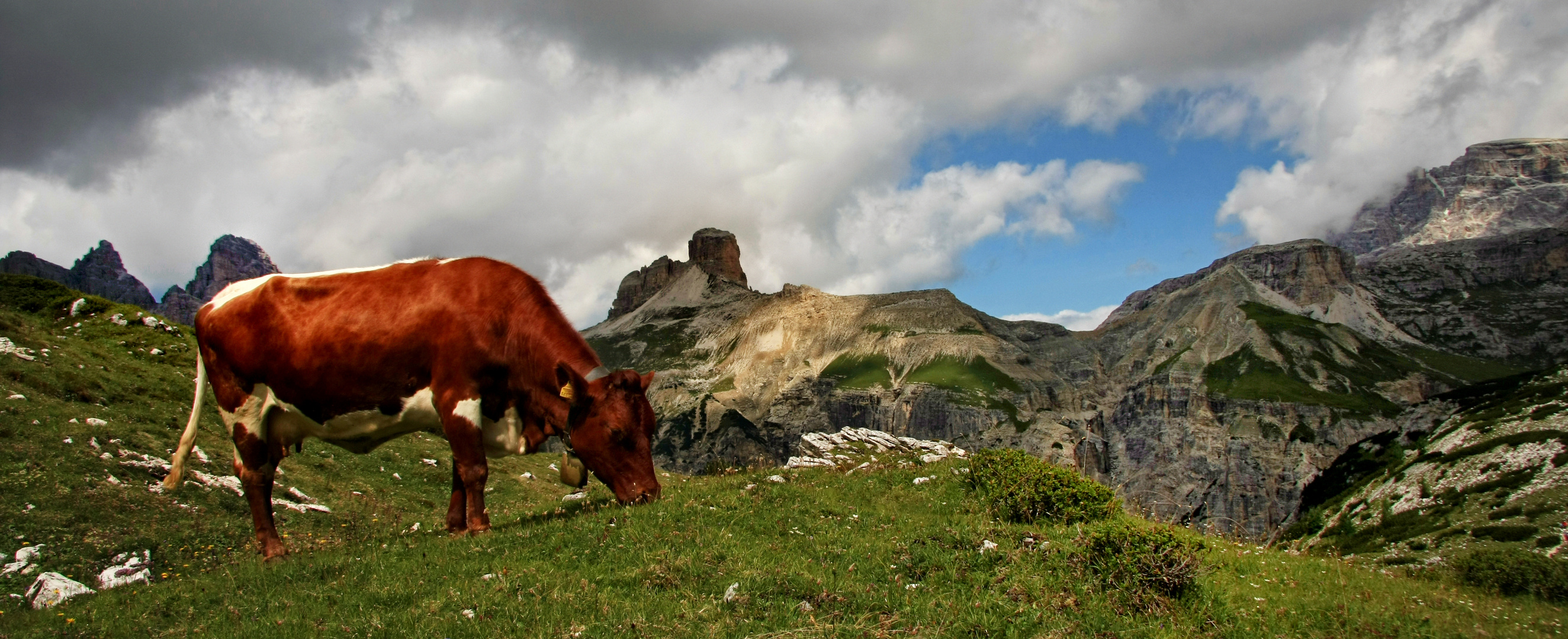 Dolomiten in Süd Tirol