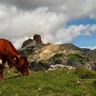 Dolomiten in Süd Tirol