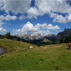 Dolomiten-Panorama