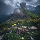 Dolomiten - Seceda 