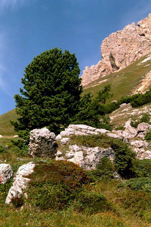 Dolomiten - Wolkenstein