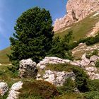 Dolomiten - Wolkenstein