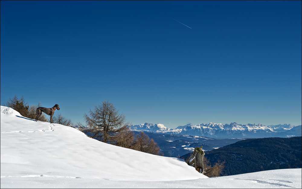 Dolomitenblick