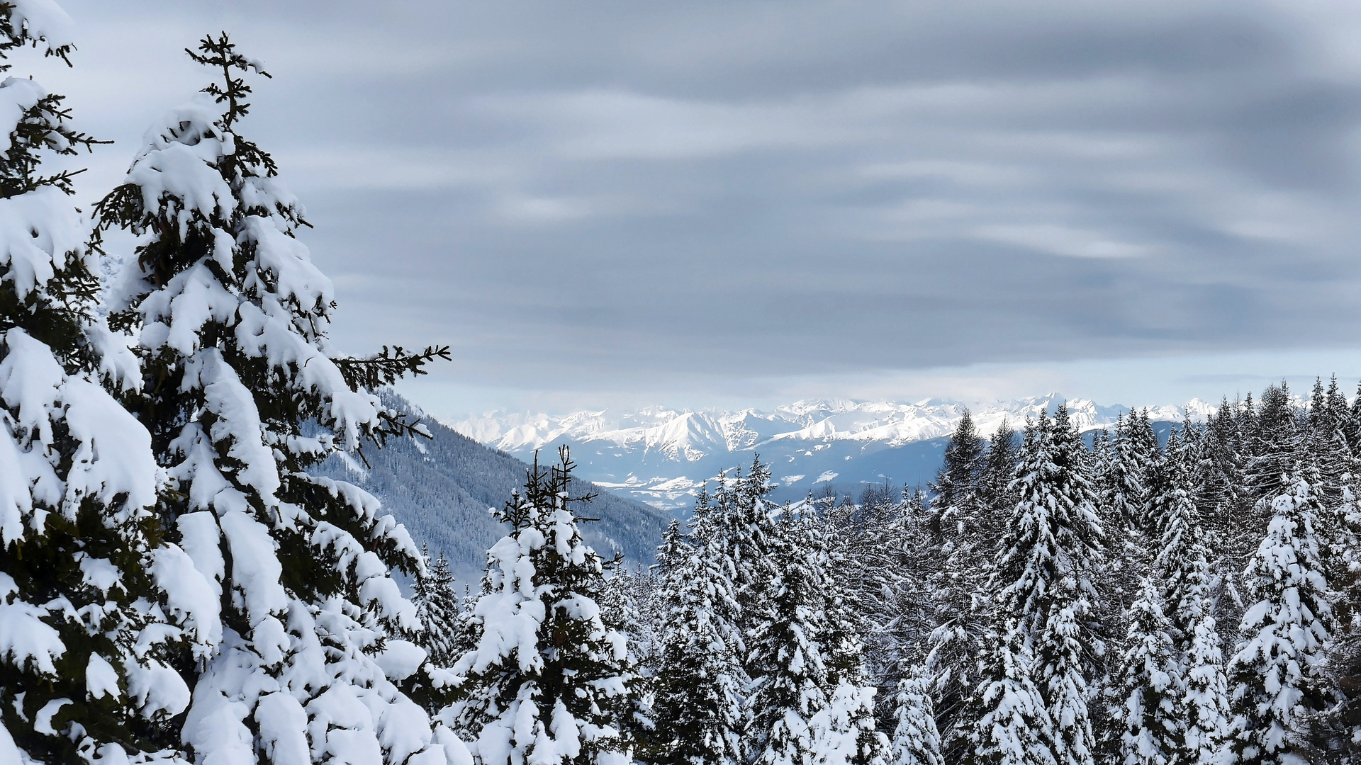 Dolomitenblick