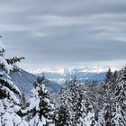 Dolomitenblick