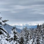 Dolomitenblick