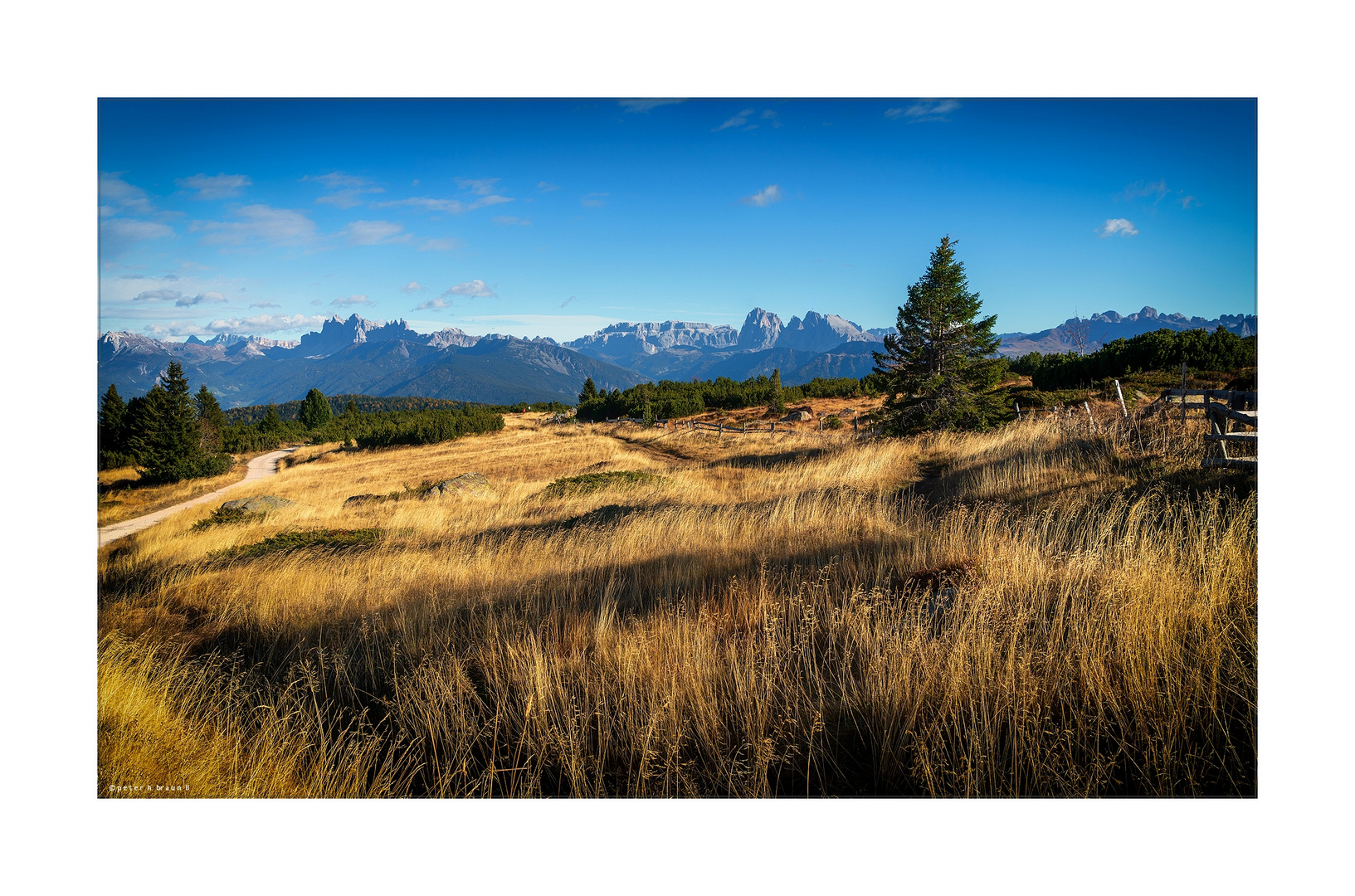 Dolomitenblick II