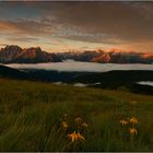 *** Dolomitenblick II ***