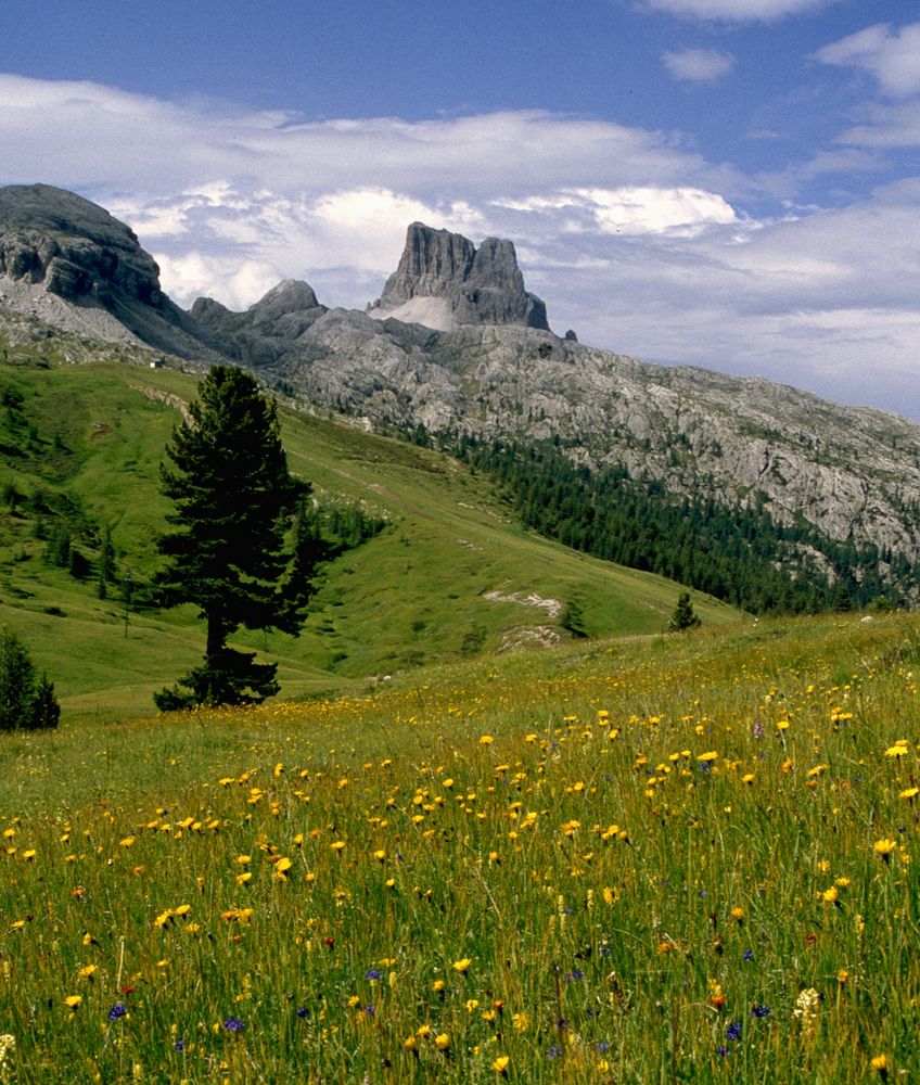 Dolomitenlandschaft