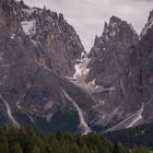 Dolomitenpferde