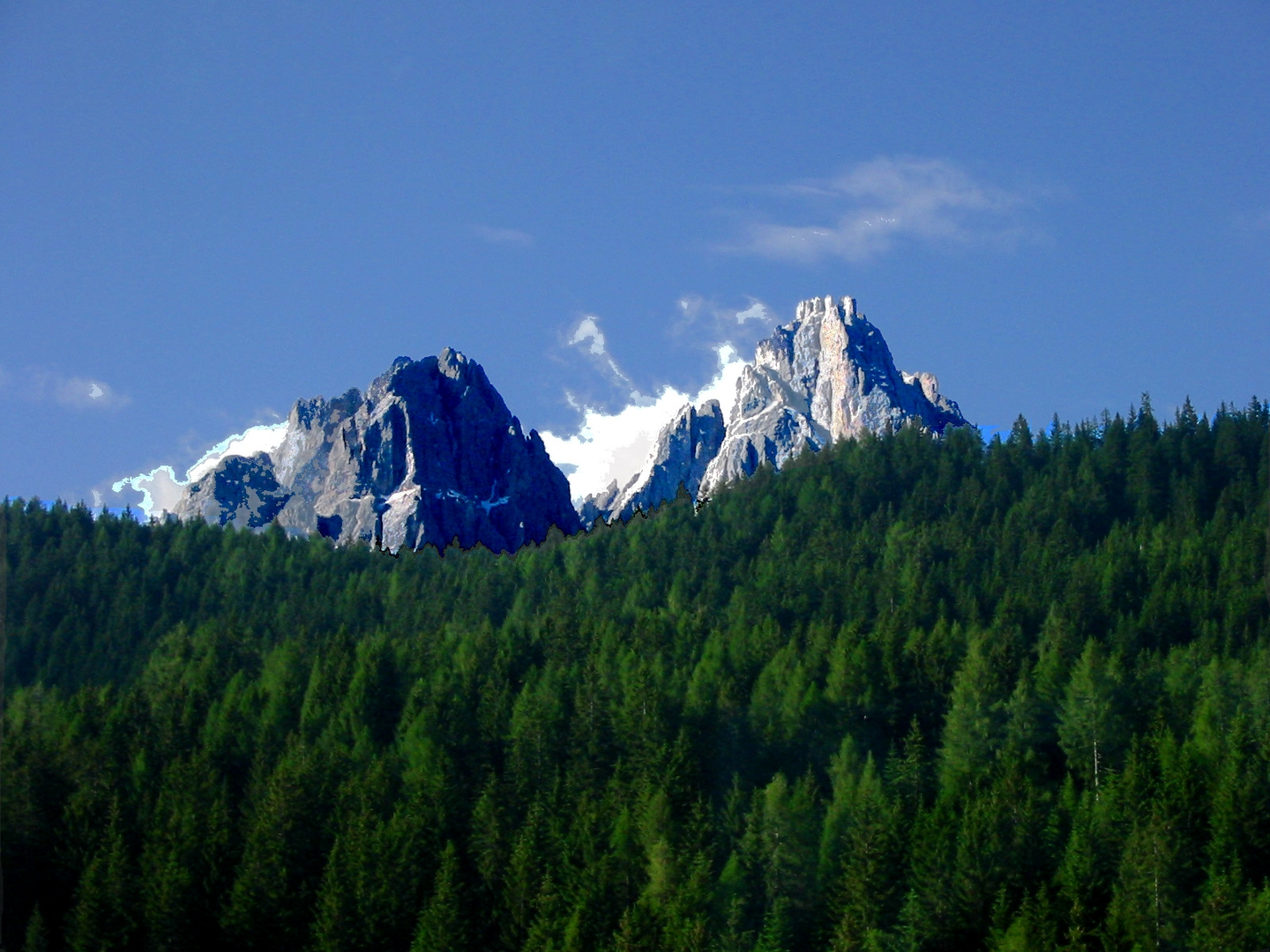 Dolomitenwald