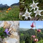 Dolomitenzauber