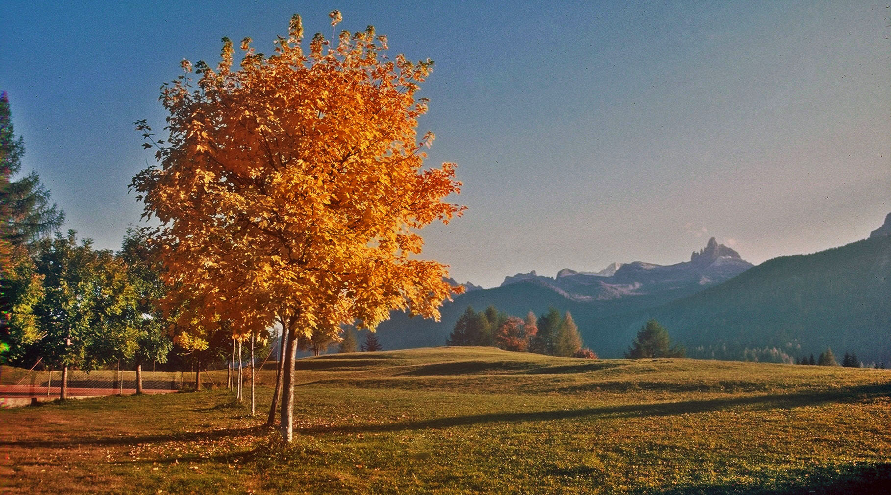 dolomiti 