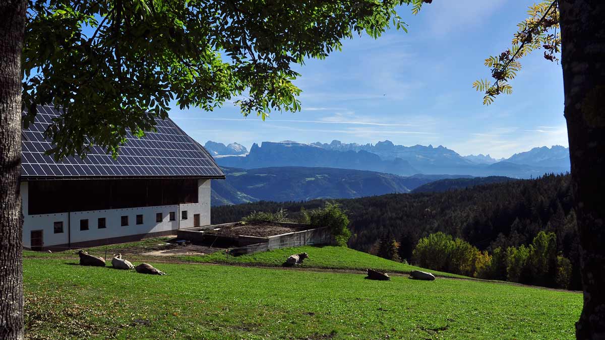 Dolomiti