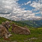 Dolomiti...