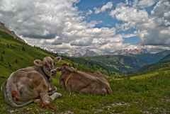 Dolomiti...