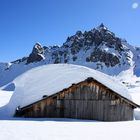 Dolomiti