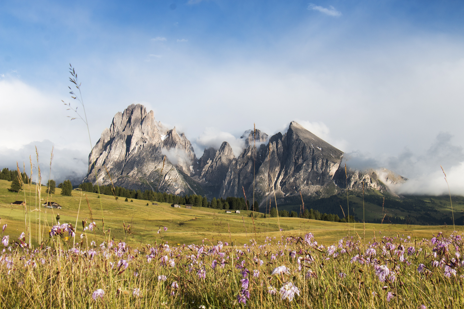 Dolomiti