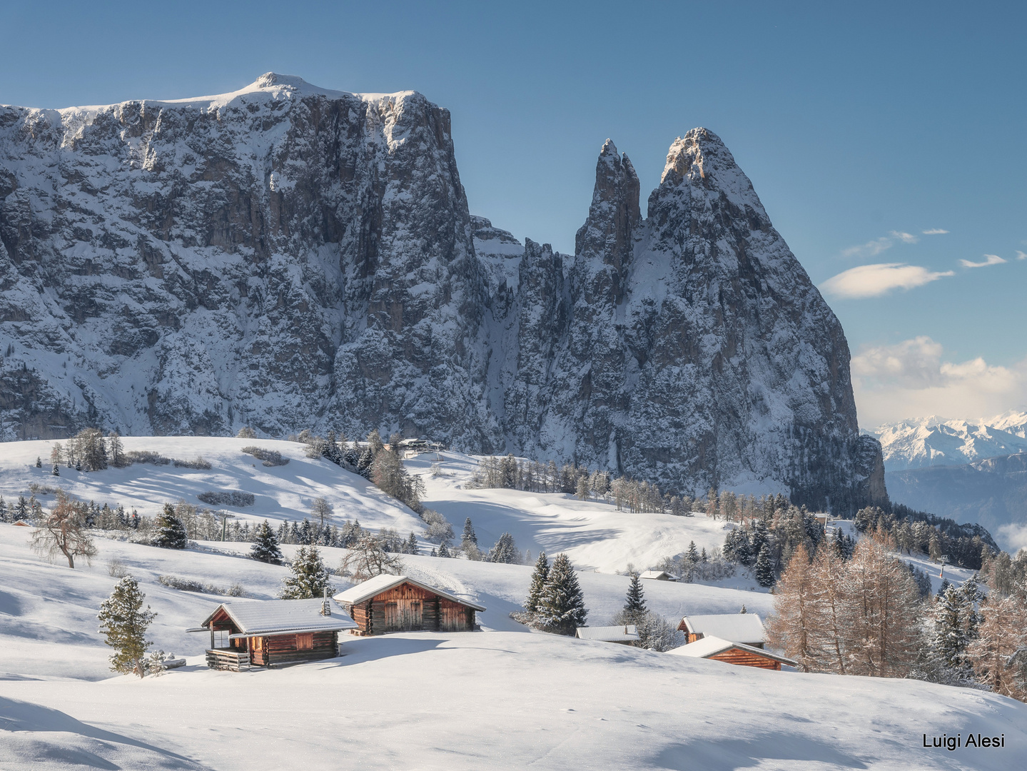 Dolomiti - Alpe di Siusi (BZ)