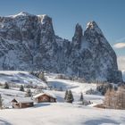 Dolomiti - Alpe di Siusi (BZ)