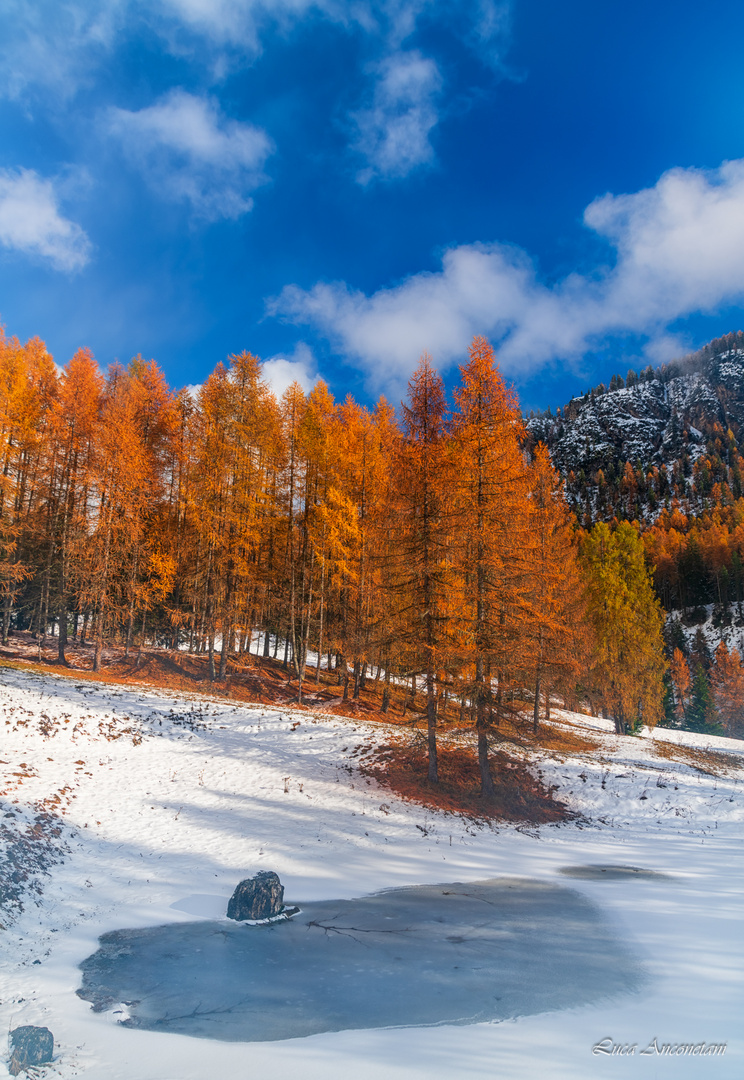 Dolomiti Ampezzane