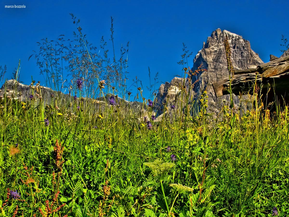 Dolomiti