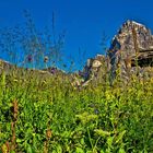 Dolomiti