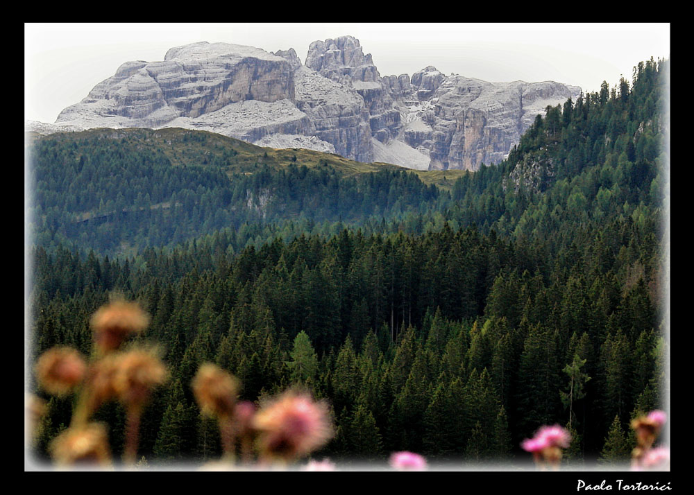 Dolomiti di Brenta.