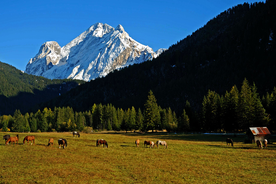 Dolomiti