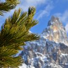 Dolomiti Passo Rolle