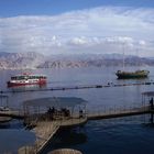 Dolphin Reef - Eilat