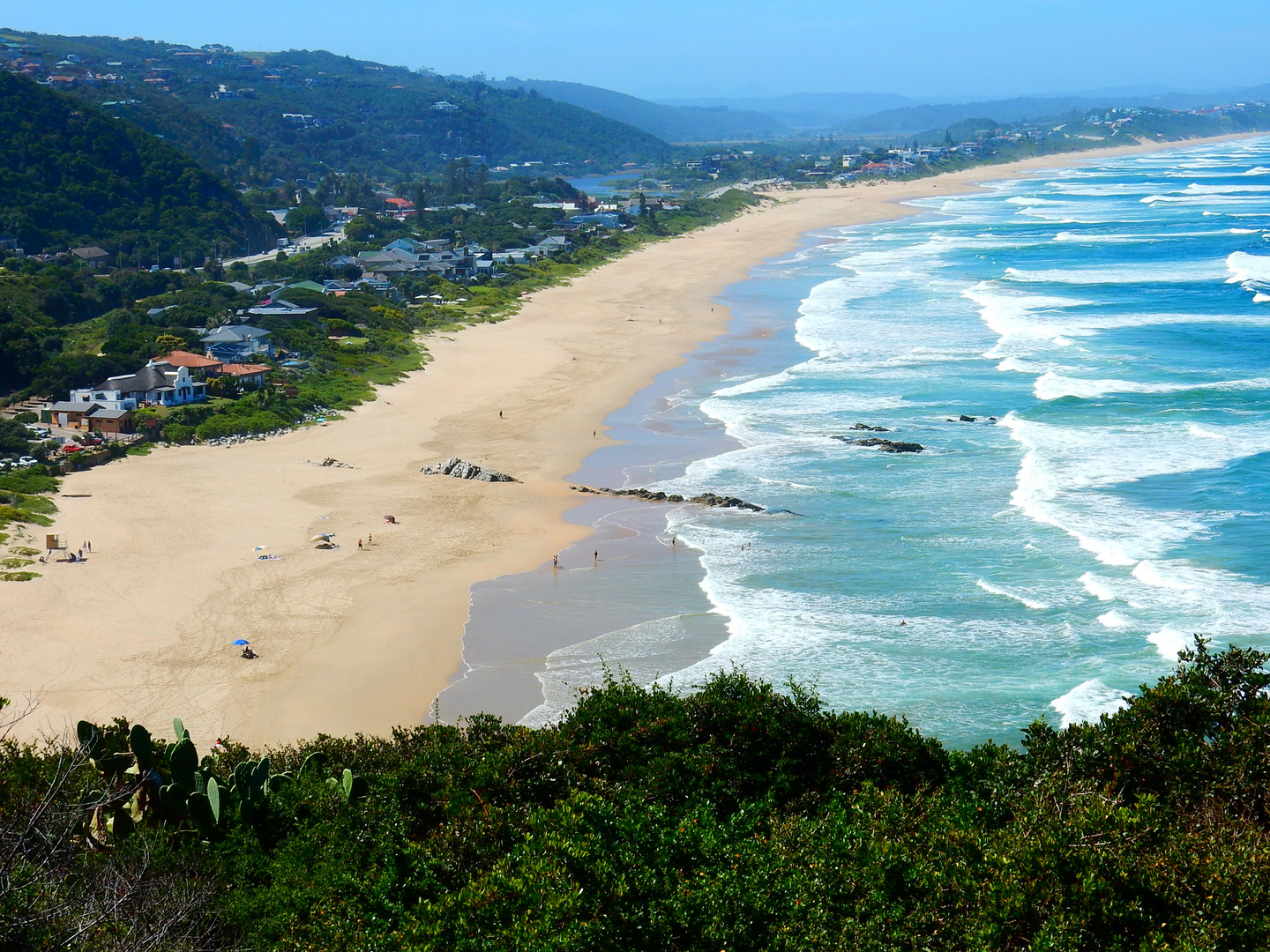 Dolphins View, Wilderness