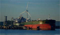 DOLVIKEN / Oil Products Tanker / Rotterdam