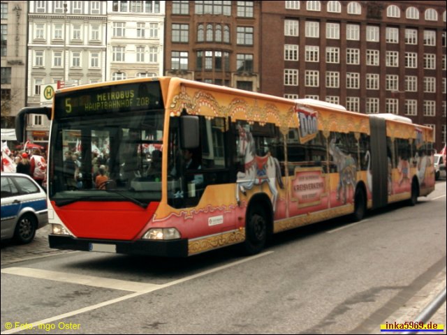 Dom-Bus
