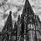 Dom Cologne - details