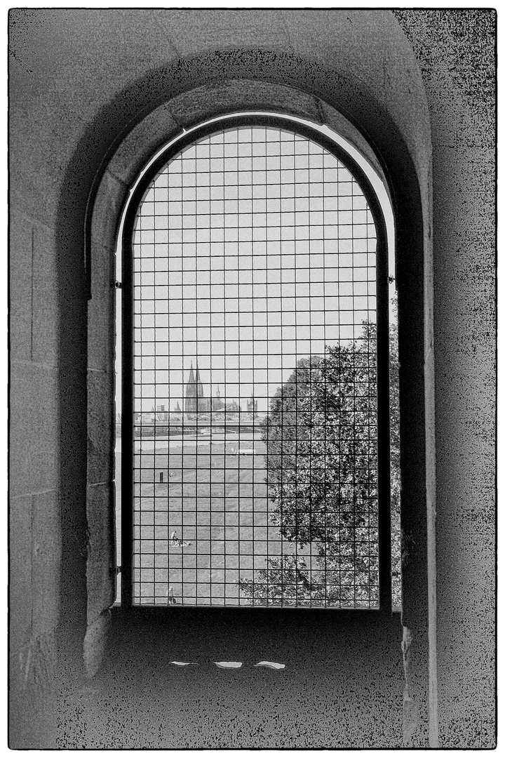 Dom hinter Gittern