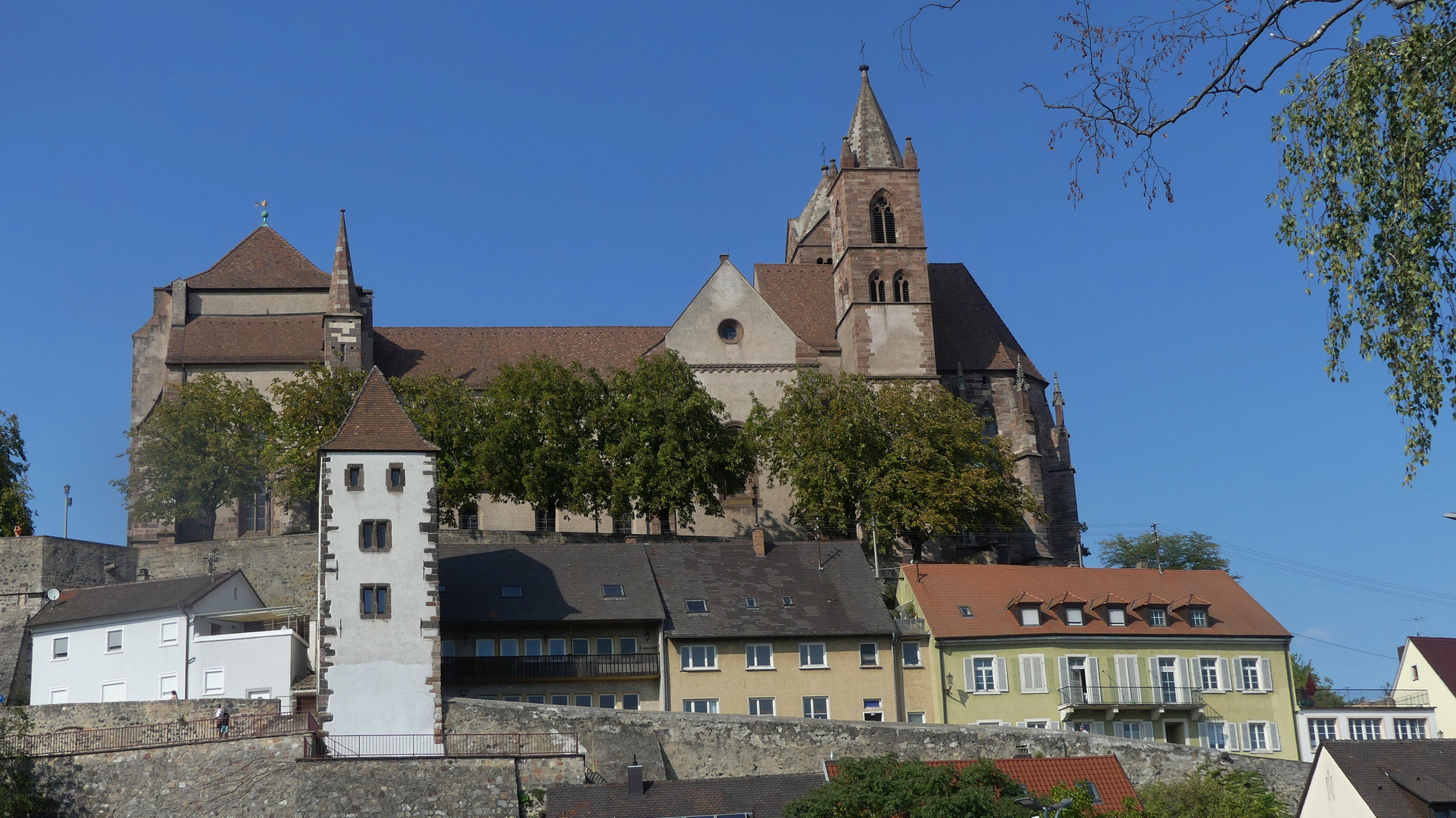 Dom in Breisach