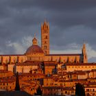Dom in Siena bei Sonnenuntergang